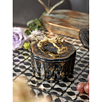 Шкатулка черного цвета с крышкой с фигуркой льва Eden Garden варинант исполнения - 6 | Loft Concept в Красноярске