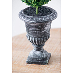 Декоративный искусственное растение Double boxwood варинант исполнения - 7 | Loft Concept в Красноярске