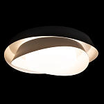 Потолочный светильник круглый черного цвета из металла Vita Cuna варинант исполнения - 1 | Loft Concept в Красноярске