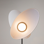 Напольный светильник Evolution 3000К 12Вт варинант исполнения - 5 | Loft Concept в Красноярске