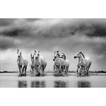 Книга Beusker. Look into my Eyes варинант исполнения - 4 | Loft Concept в Красноярске