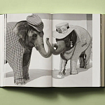 Книга в подарок творческий путь Брюса Вебера Bruce Weber. My Education варинант исполнения - 6 | Loft Concept в Красноярске