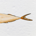 Плитка с узором Рыба Русалка варинант исполнения - 6 | Loft Concept в Красноярске