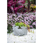 Кашпо A collection of baby rabbits варинант исполнения - 9 | Loft Concept в Красноярске