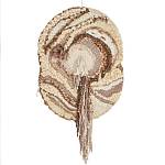 Овальный Современный Гобелен Абстракция в бежевых тонах Shallow варинант исполнения - 7 | Loft Concept в Красноярске