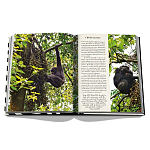 Подарочнный коллекционный фото альбом AFRICAN ADVENTURES NEW 2023 ASSOULINE HC UNBELIEVABLE ILLUSTRATIONS Safari варинант исполнения - 8 | Loft Concept в Красноярске
