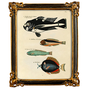 Постер в багетной раме Seabed Print 2