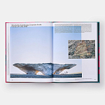 Radical Architecture of the Future варинант исполнения - 4 | Loft Concept в Красноярске