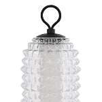 Настольная лампа с прозрачным факутрным стеклянным плафоном Sonora варинант исполнения - 3 | Loft Concept в Красноярске