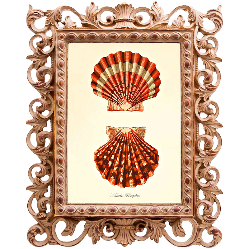 Постер Red Scallop Poster Бежевый Красный в Красноярске | Loft Concept 