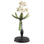 Статуэтка Wonderboom варинант исполнения - 1 | Loft Concept в Красноярске