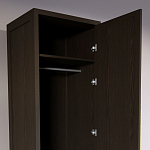 Узкий Шкаф Primo с 2 выдвижными ящиками Темный орех варинант исполнения - 6 | Loft Concept в Красноярске