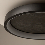 Потолочный светильник Orign 3000К варинант исполнения - 5 | Loft Concept в Красноярске