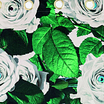 Штора Seletti Roses варинант исполнения - 1 | Loft Concept в Красноярске