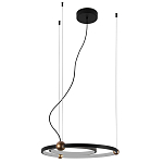 Люстра подвесная светодиодная черный металл Ring Horizontal варинант исполнения - 2 | Loft Concept в Красноярске