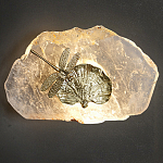 Бра Декоративный лист с стрекозой Glacial Fragment варинант исполнения - 2 | Loft Concept в Красноярске