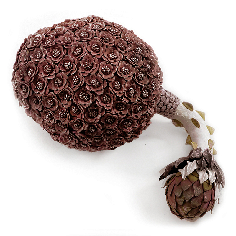Коричневый фрукт Exotic Fruit Artichoke Brown 42 Коричневый Коричневый фрукт Exotic Fruit Artichoke Brown 42 Коричневый в Красноярске | Loft Concept