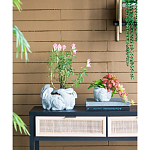 Кашпо A collection of baby rabbits варинант исполнения - 5 | Loft Concept в Красноярске