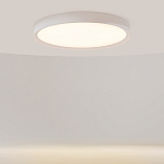 Потолочный светильник Incognito 2700-4000К 46Вт варинант исполнения - 2 | Loft Concept в Красноярске