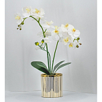 Декоративный искусственное растение Lush Orchid варинант исполнения - 2 | Loft Concept в Красноярске