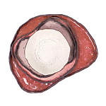 Сет из 4-х тарелок «QARTZITE» варинант исполнения - 5 | Loft Concept в Красноярске