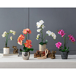 Декоративный искусственное растение Pink orchid варинант исполнения - 11 | Loft Concept в Красноярске