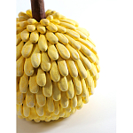 Статуэтка тропический фрукт Pandora Tropical Fruit Yellow Emerald Flower варинант исполнения - 2 | Loft Concept в Красноярске