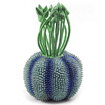 Статуэтка экзотический фрукт Exotic Tropical Fruit Green and Blue 64 варинант исполнения - 1 | Loft Concept в Красноярске