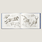 Лимитированная подарочная книга HERMES Fierce and Fragile book, English version варинант исполнения - 4 | Loft Concept в Красноярске