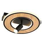 Потолочный светильник круглый GAVIN WOOD варинант исполнения - 1 | Loft Concept в Красноярске