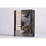 Книга Fantastic Gustave Dore варинант исполнения - 3 | Loft Concept в Красноярске