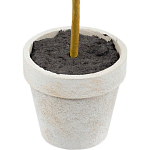 Декоративный искусственное растение Boxwood One варинант исполнения - 3 | Loft Concept в Красноярске