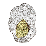 Бра с рельефным волнообразным стеклянным плафоном и вставкой из мрамора Liquid Stone варинант исполнения - 1 | Loft Concept в Красноярске