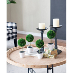 Декоративный искусственное растение Boxwood One варинант исполнения - 7 | Loft Concept в Красноярске