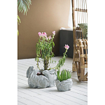 Кашпо A collection of baby rabbits варинант исполнения - 4 | Loft Concept в Красноярске