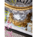 Чаша из прозрачного стекла с бронзовой подставкой и ручками Eden Garden варинант исполнения - 4 | Loft Concept в Красноярске