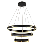 Люстра светодиодная с 3-мя плафонами в форме колец из акрила и алюминия с пультом для регулировки света Ring Horizontal Anthracite варинант исполнения - 1 | Loft Concept в Красноярске