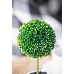 Декоративный искусственное растение Boxwood One варинант исполнения - 8 | Loft Concept в Красноярске