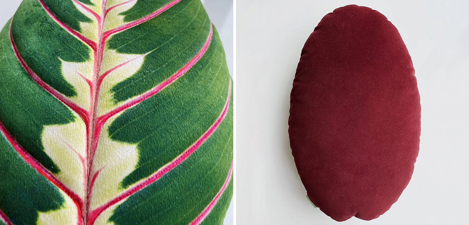 Декоративная подушка Botanical Cushion Maranta Trikolor Декоративная подушка Botanical Cushion Maranta Trikolor - Loft-Concept в Красноярске