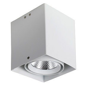 Спот Lope spot white