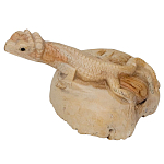 Статуэтка из дерева ящерица Animals of the World варинант исполнения - 2 | Loft Concept в Красноярске