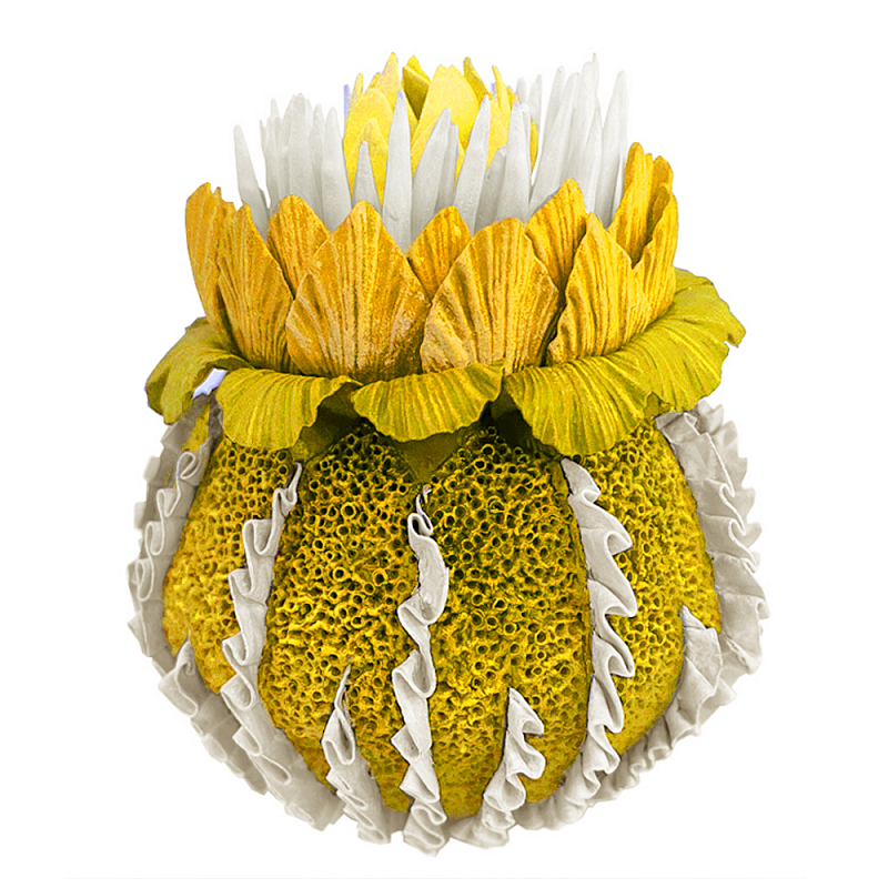 Желтый Экзотический фрукт Yellow Pandora Exotic Fruit 44 Желтый Желтый Экзотический фрукт Yellow Pandora Exotic Fruit 44 Желтый в Красноярске | Loft Concept