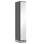 Шкаф-пенал с зеркальной дверцей и фасадом цвета графит Strict Lines варинант исполнения - 2 | Loft Concept в Красноярске