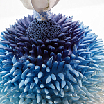 Статуэтка Синий тропический фрукт Tropical Fruit Pandora 4 варинант исполнения - 1 | Loft Concept в Красноярске