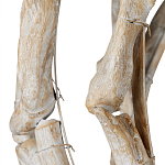 Люстра круглая в виде веток деревьев Natural Driftwood варинант исполнения - 3 | Loft Concept в Красноярске