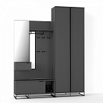 Двухдверный шкаф цвета графит Strict Lines варинант исполнения - 4 | Loft Concept в Красноярске