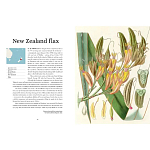 Прекрасно иллюстрированная книга более 100 ботанических произведений Plant Hunters Atlas варинант исполнения - 3 | Loft Concept в Красноярске