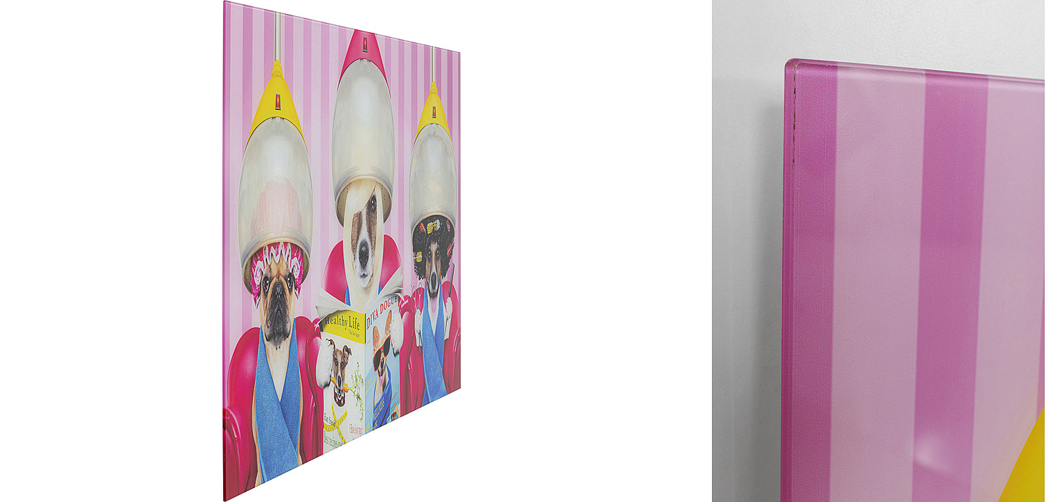 Картина Dogs in a beauty salon  - Loft-Concept в Красноярске