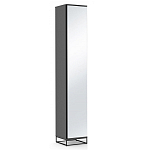 Шкаф-пенал с зеркальной дверцей и фасадом цвета графит Strict Lines варинант исполнения - 1 | Loft Concept в Красноярске