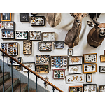 Книга Extraordinary Collections: French Interiors варинант исполнения - 11 | Loft Concept в Красноярске